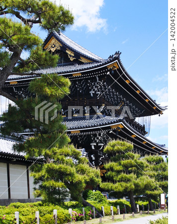 京都観光スポット東本願寺 御影堂山門の情景 京都観光スポット東本願寺 御影堂山門の情景 142004522