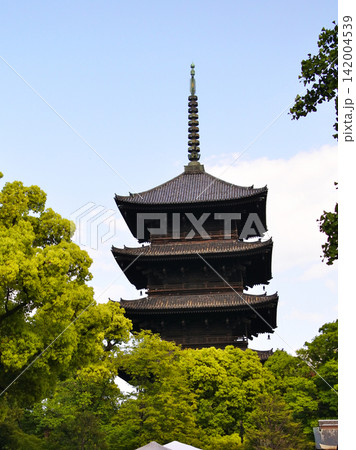 密教を今に伝える京都の観光スポット東寺 密教を今に伝える京都の観光スポット東寺 142004539