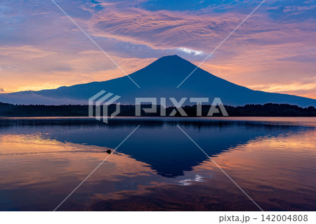(静岡県)富士山・田貫湖・湖面の水鳥・夜明け (静岡県)富士山・田貫湖・湖面の水鳥・夜明け 142004808
