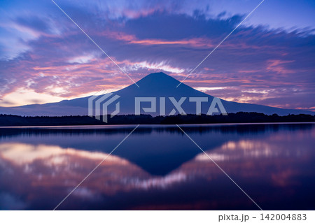 (静岡県)富士山・田貫湖の夜明け 秋 (静岡県)富士山・田貫湖の夜明け 秋 142004883