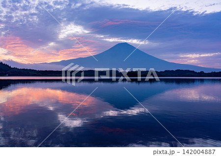 (静岡県)富士山・田貫湖の夜明け 秋 (静岡県)富士山・田貫湖の夜明け 秋 142004887