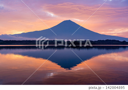 (静岡県)富士山・田貫湖の夜明け 秋 (静岡県)富士山・田貫湖の夜明け 秋 142004895