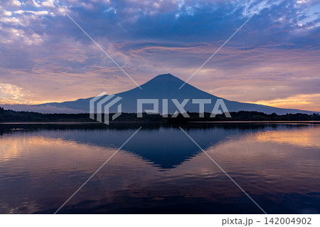 (静岡県)富士山・田貫湖の夜明け 秋 (静岡県)富士山・田貫湖の夜明け 秋 142004902