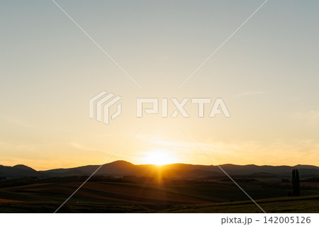 夕日に染まる美瑛の丘とポプラの木(秋の北海道) 夕日に染まる美瑛の丘とポプラの木(秋の北海道) 142005126