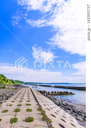道東 厚岸 苫多(とまた)海岸 道東 厚岸 苫多(とまた)海岸 142005757