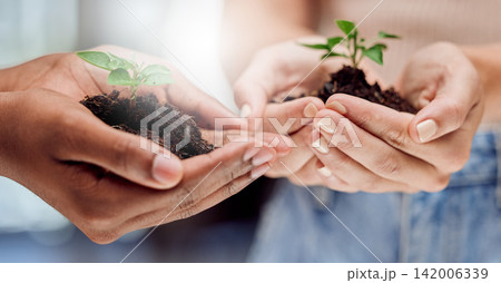 Plants, people and hands with growth, sustainability and green business planning for future investment. Support, development and teamwork for eco friendly agro farming, care and natural resources. Plants, people and hands with growth, sustainability and green business planning for future investment. Support, development and teamwork for eco friendly agro farming, care and natural resources. 142006339
