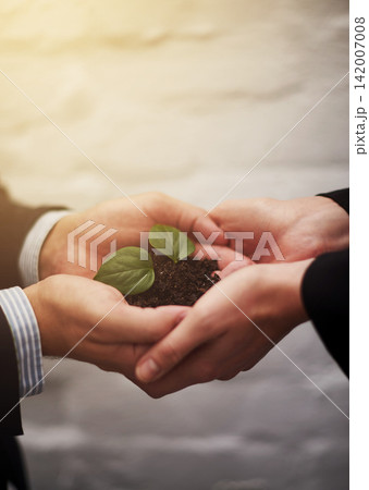 Business people, hands and plant for startup growth or sustainable company, teamwork or synergy. Colleagues, fingers and leaves in soil for career future or workplace earth day, environment or eco Business people, hands and plant for startup growth or sustainable company, teamwork or synergy. Colleagues, fingers and leaves in soil for career future or workplace earth day, environment or eco 142007008