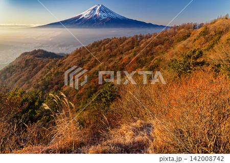三ツ峠山頂直下から見る早朝の富士山 三ツ峠山頂直下から見る早朝の富士山 142008742