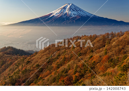 三ツ峠山頂直下から見る早朝の富士山 142008743