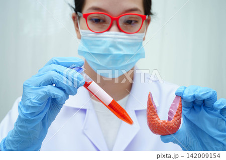 Doctor holding thyroid gland model and blood sample test tube in laboratory. 142009154