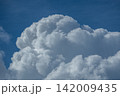 夏の青空と白い雲 142009435