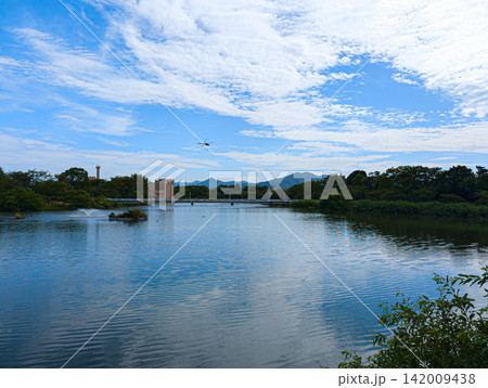 豊橋市大池公園と青空 142009438