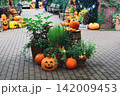 ハロウィンのかぼちゃのある風景 142009453