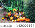 ハロウィンのかぼちゃがある風景 142009454