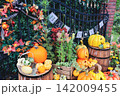 ハロウィンのかぼちゃが飾られた籠 142009455