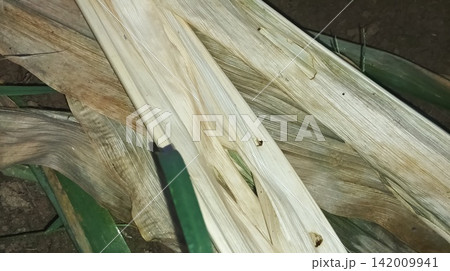 Close up of harvested dry hay texture background Close up of harvested dry hay texture background 142009941
