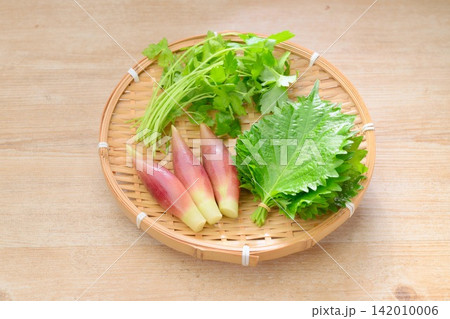 夏の薬味三種(大葉・しそ、みょうが・ミョウガ、姫三つ葉・三つ葉) 夏の薬味三種(大葉・しそ、みょうが・ミョウガ、姫三つ葉・三つ葉) 142010006