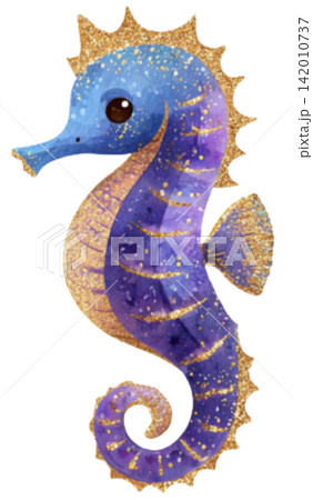 sea horse 142010737