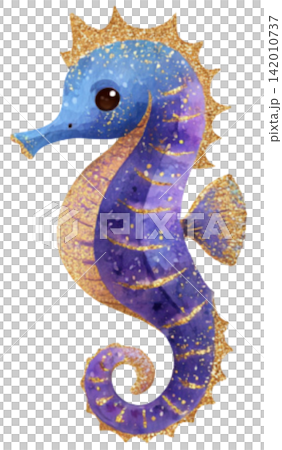 sea horse sea horse 142010737