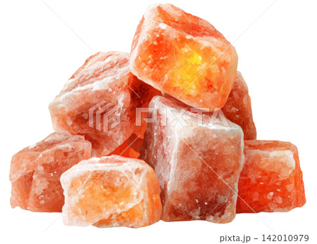 salt 142010979