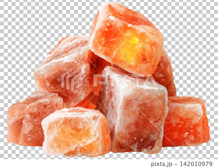 salt 142010979
