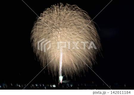 夜空に咲く大輪の花 夜空に咲く大輪の花 142011184