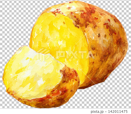 potato 142011475