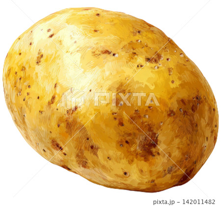 potato 142011482