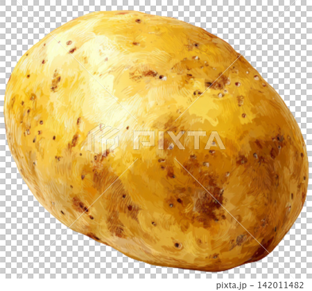 potato 142011482