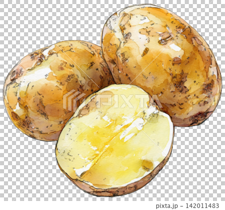 potato potato 142011483