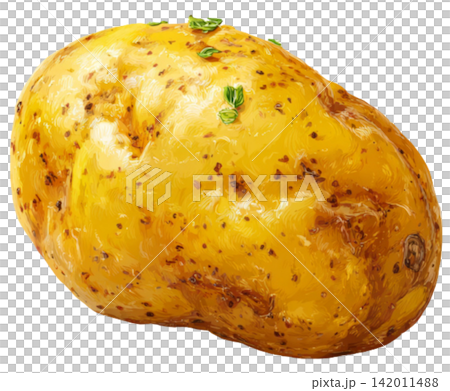potato 142011488