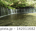 白糸の滝のある風景 142011682