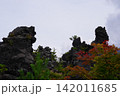 紅葉に包まれた奇岩 142011685