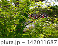 森の中の赤い鳥居 142011687