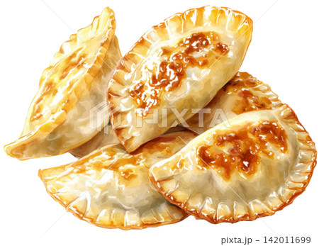 polish pierogi 142011699