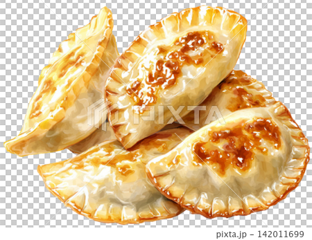 polish pierogi 142011699