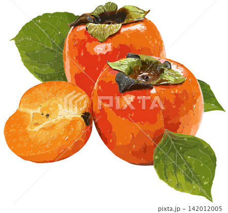 Persimmon fruit Persimmon fruit 142012005