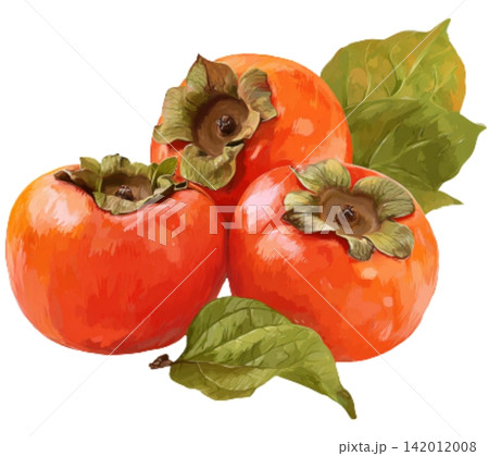 Persimmon fruit Persimmon fruit 142012008