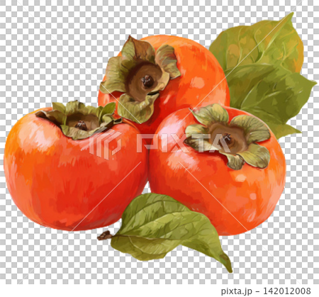 Persimmon fruit Persimmon fruit 142012008