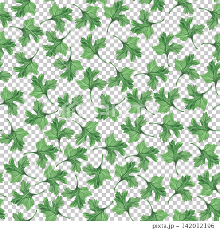 Seamless patern of the parsley leaves. Watercolor illustration. Handmade art work. For packaging design, cards, cover, prints, product labels and fabric. Seamless patern of the parsley leaves. Watercolor illustration. Handmade art work. For packaging design, cards, cover, prints, product labels and fabric. 142012196
