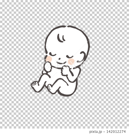 かわいい胎児の手描きイラスト かわいい胎児の手描きイラスト 142012274