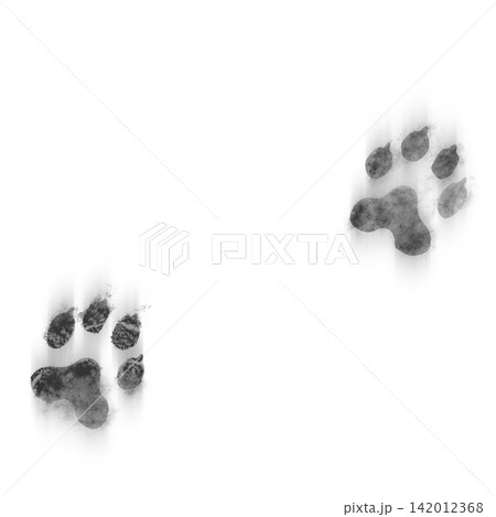 Paw prints of a large dog or wolf on white snow.  High resolution photo filter. 142012368