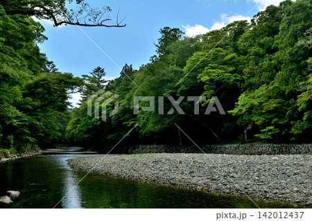 伊勢神宮・五十鈴川の風景 142012437