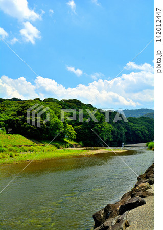 伊勢神宮・五十鈴川の風景 伊勢神宮・五十鈴川の風景 142012447