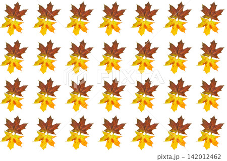 Yellow brown autumn leaves pattern for decoration Yellow brown autumn leaves pattern for decoration 142012462