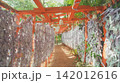 夏の赤い鳥居 142012616