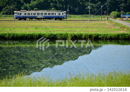 北条鉄道を走るキハ40 北条鉄道を走るキハ40 142012618