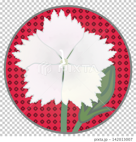 Illustration of a white dianthus with a circular background Illustration of a white dianthus with a circular background 142013007