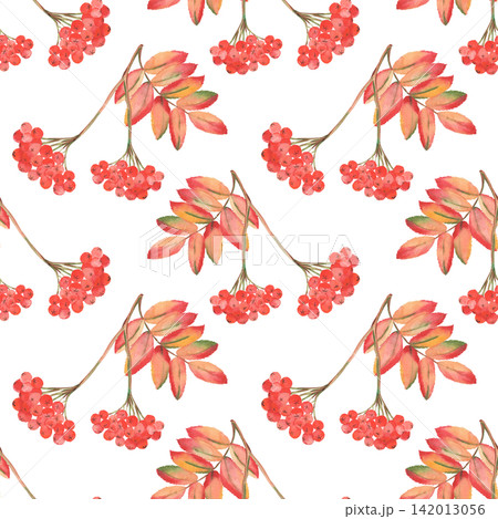 Watercolor rowan berry seamless pattern with autumn leaves 142013056