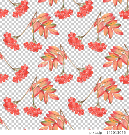 Watercolor rowan berry seamless pattern with autumn leaves Watercolor rowan berry seamless pattern with autumn leaves 142013056